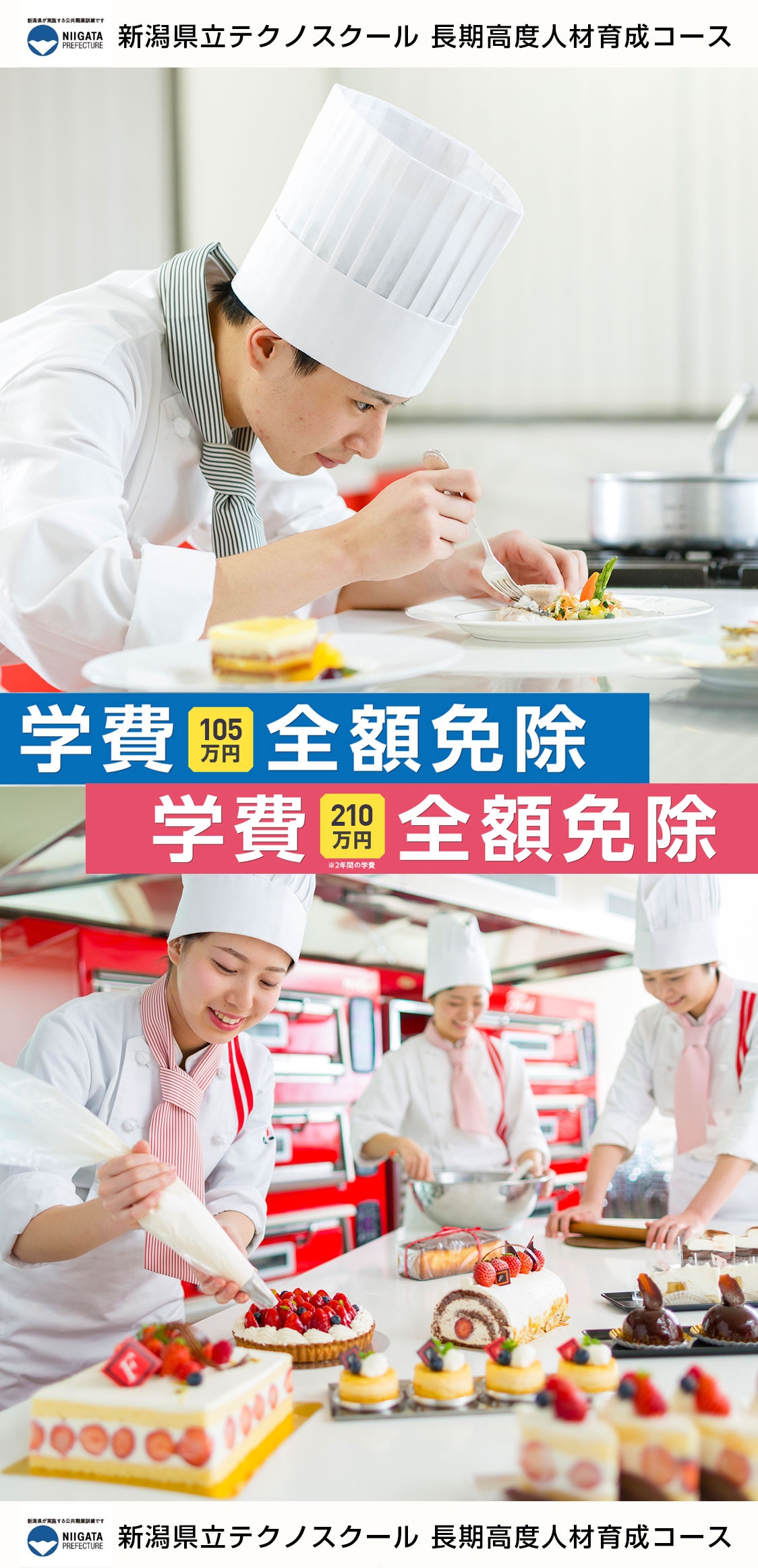 Food 国際調理製菓専門学校